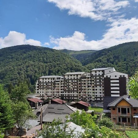 Ioana'S Apartament Διαμέρισμα Σινάια Εξωτερικό φωτογραφία