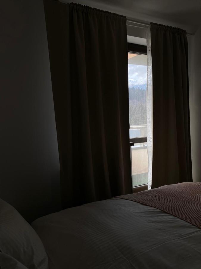 Ioana'S Apartament Διαμέρισμα Σινάια Εξωτερικό φωτογραφία