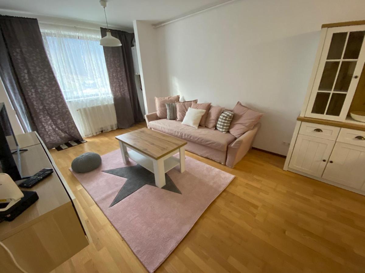Ioana'S Apartament Διαμέρισμα Σινάια Εξωτερικό φωτογραφία