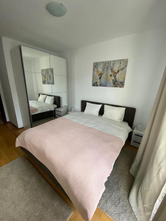 Ioana'S Apartament Διαμέρισμα Σινάια Εξωτερικό φωτογραφία