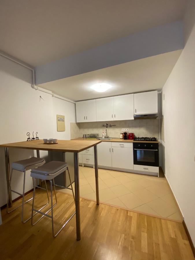 Ioana'S Apartament Διαμέρισμα Σινάια Εξωτερικό φωτογραφία
