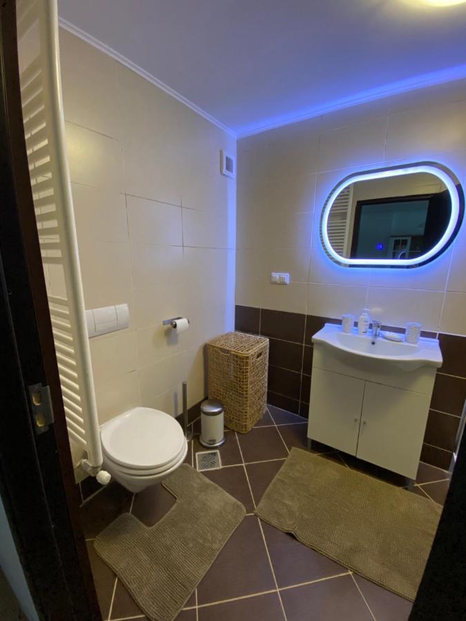 Ioana'S Apartament Διαμέρισμα Σινάια Εξωτερικό φωτογραφία
