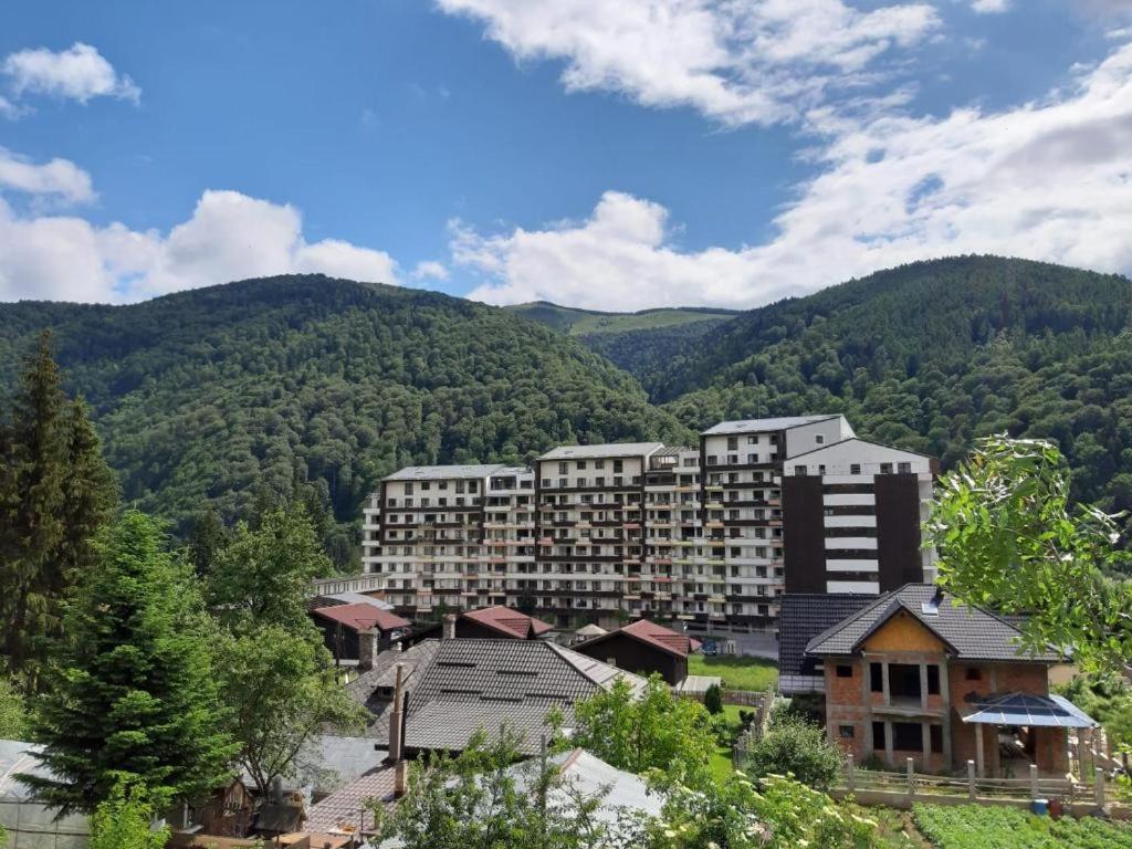 Ioana'S Apartament Διαμέρισμα Σινάια Εξωτερικό φωτογραφία
